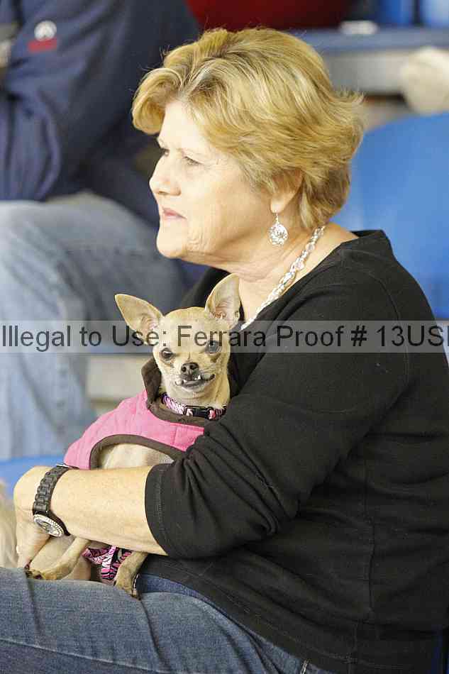 Proof 13usn_06479