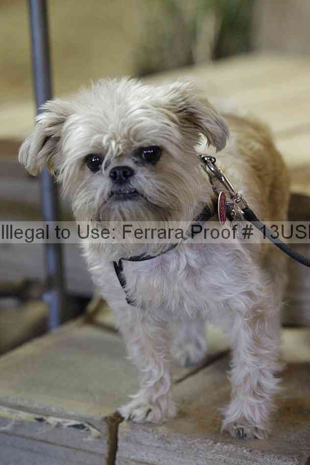 Proof 13usn_06481
