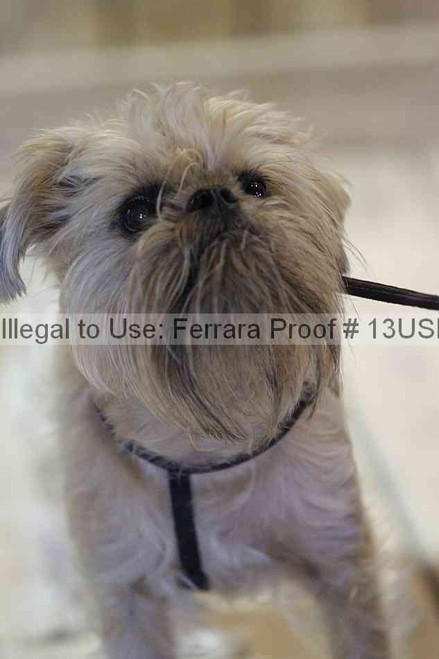 Proof 13usn_06482