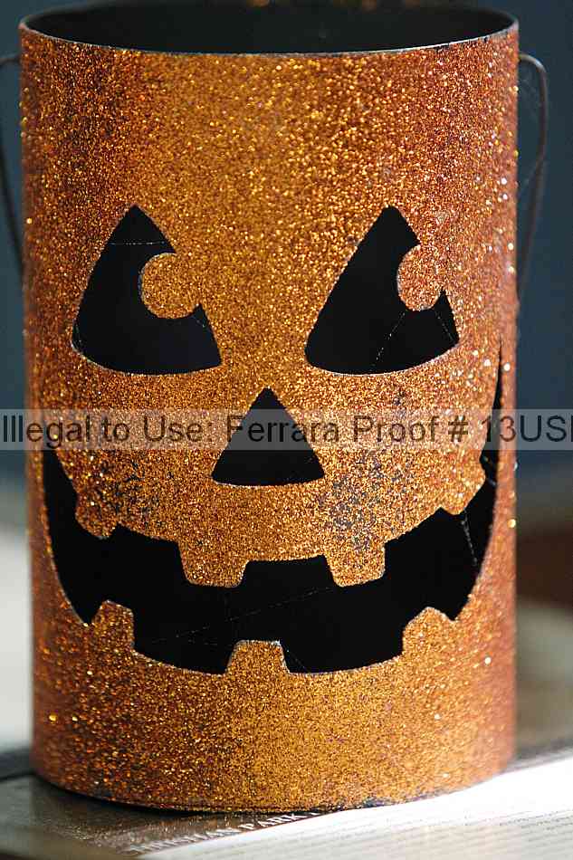 Proof 13usn_06491