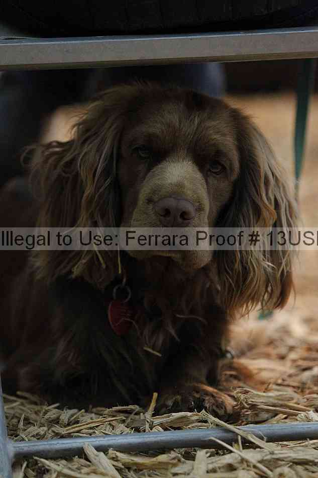 Proof 13usn_06497