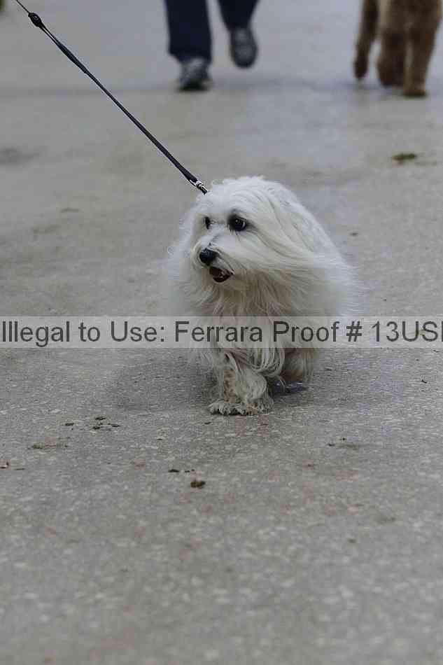 Proof 13usn_06500