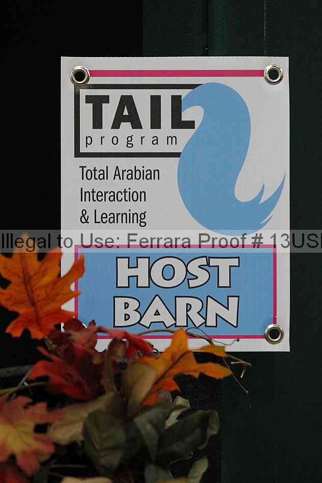 Proof 13usn_06503