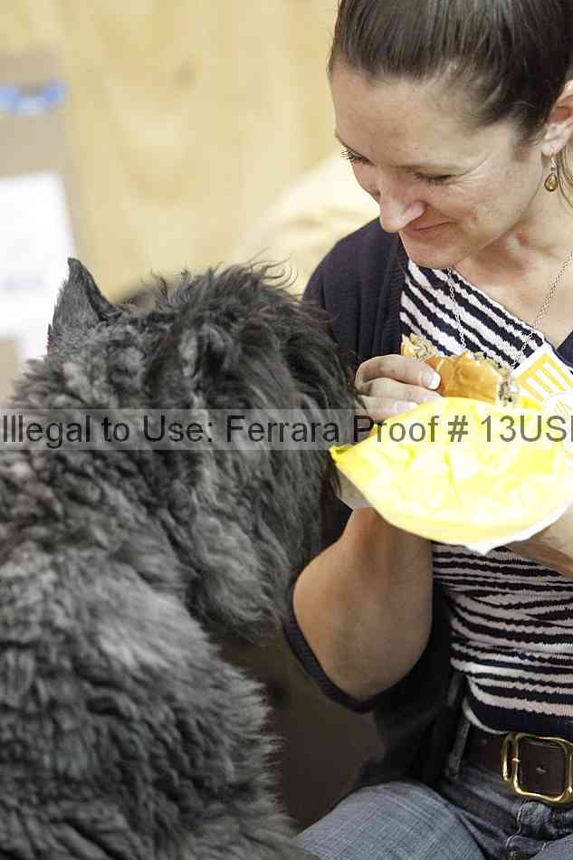 Proof 13usn_06505