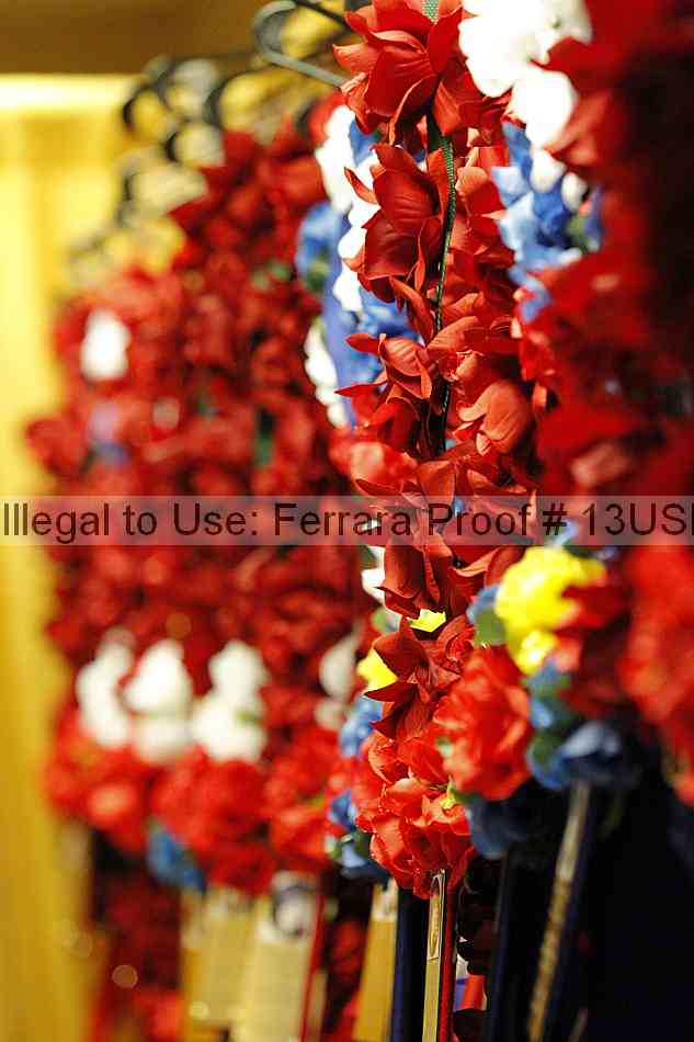 Proof 13usn_06508