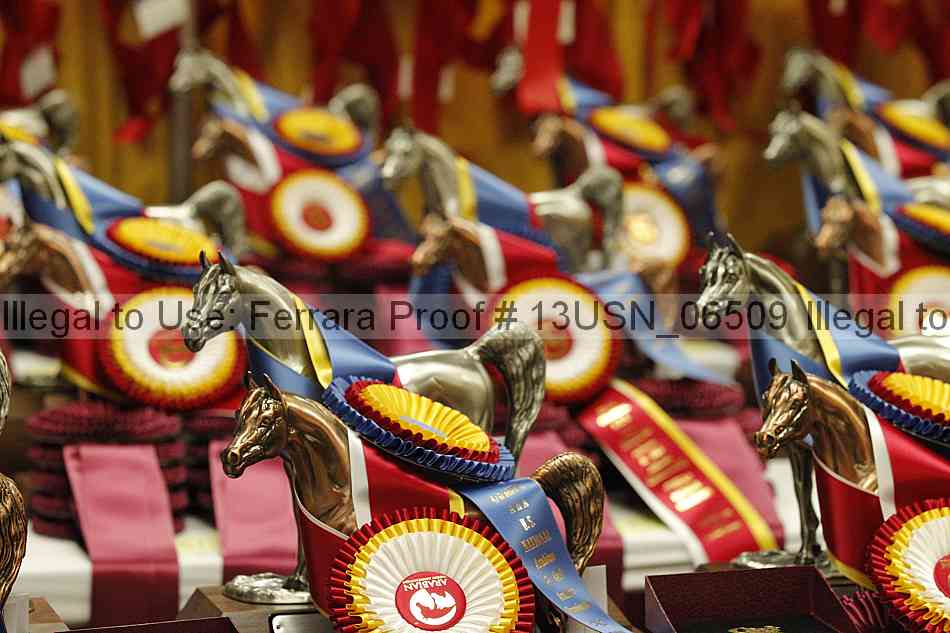 Proof 13usn_06509