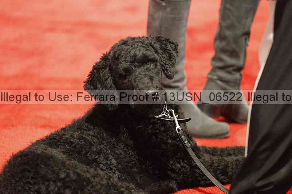 Proof 13usn_06522