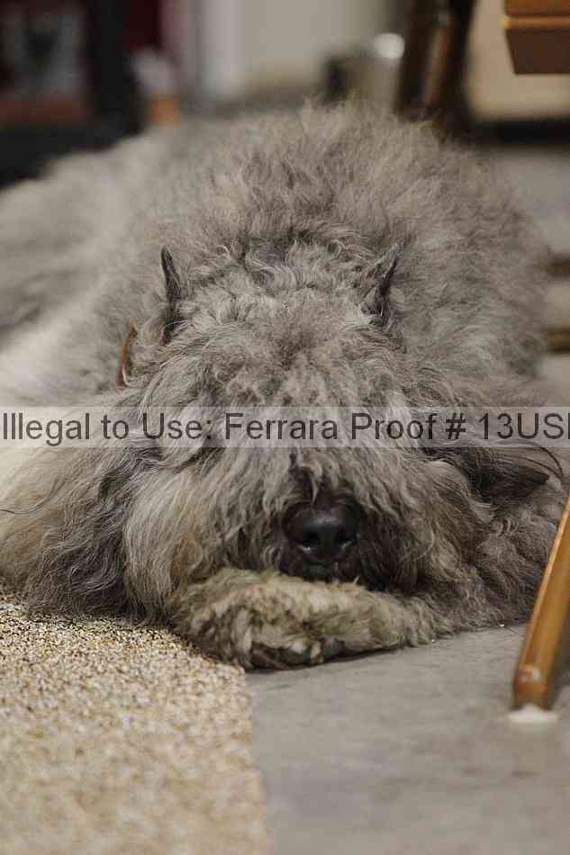 Proof 13usn_06541
