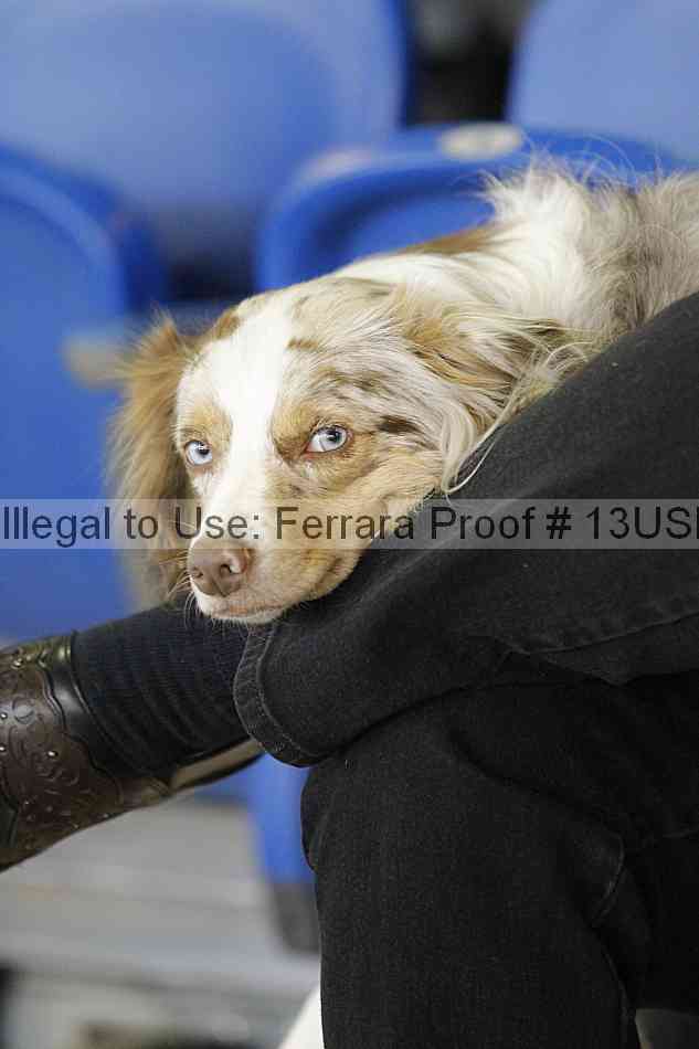 Proof 13usn_06542