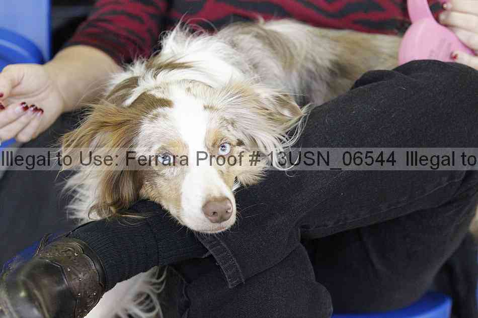 Proof 13usn_06544
