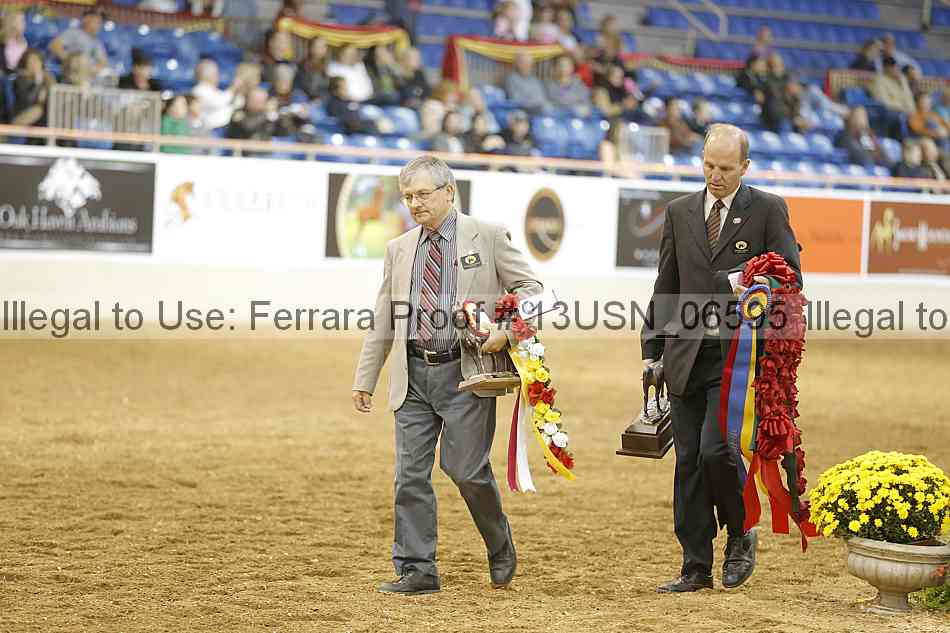 Proof 13usn_06595