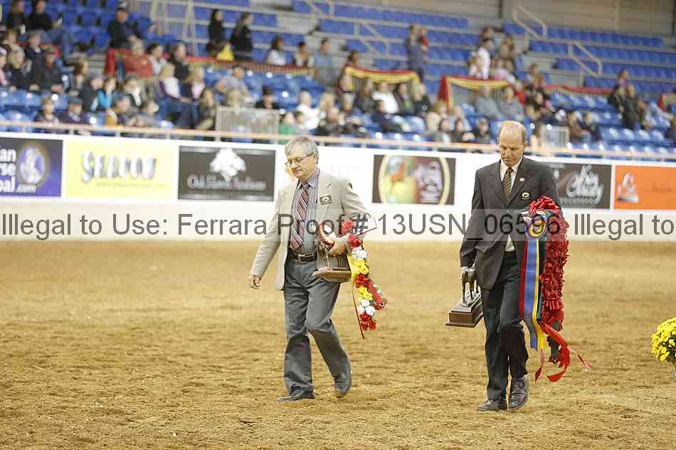 Proof 13usn_06596