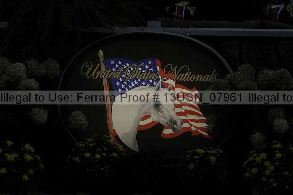 Proof 13usn_07961