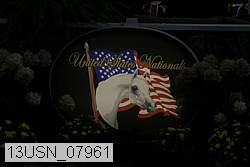 13usn_07961 proof