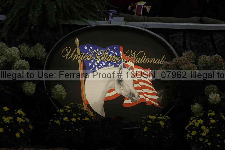 Proof 13usn_07962