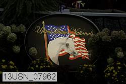 13usn_07962 proof