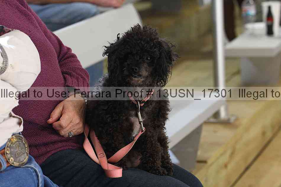 Proof 13usn_17301
