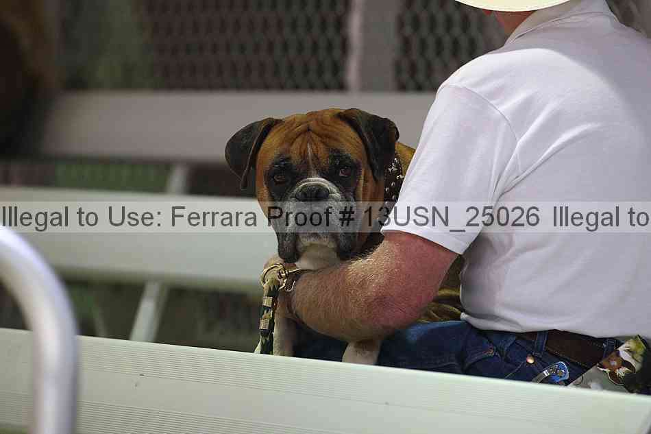 Proof 13usn_25026