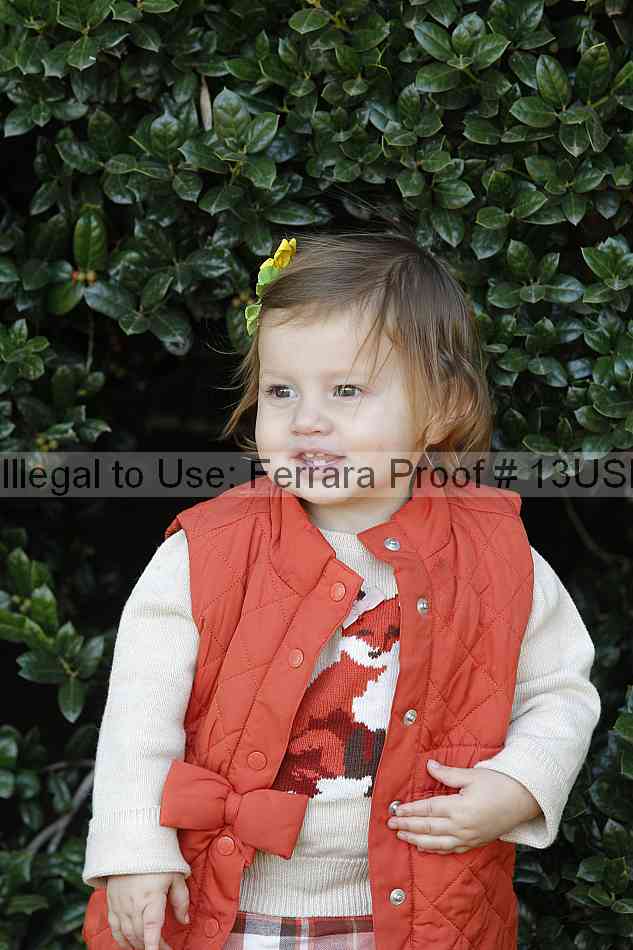 Proof 13usn_30934