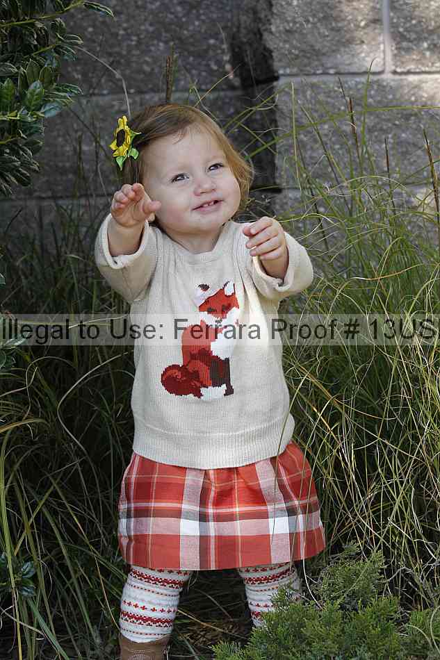 Proof 13usn_30938