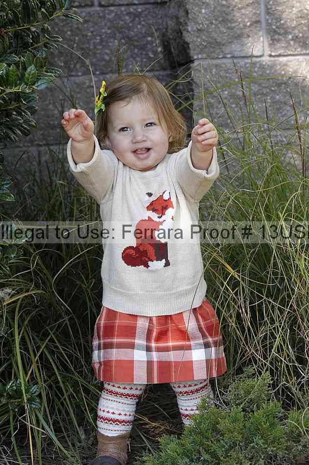 Proof 13usn_30939