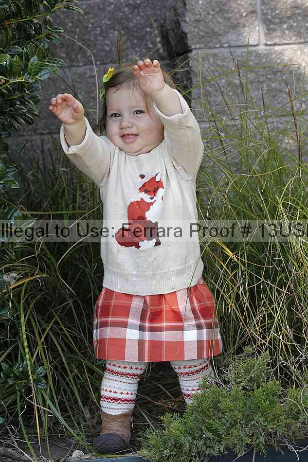 Proof 13usn_30940
