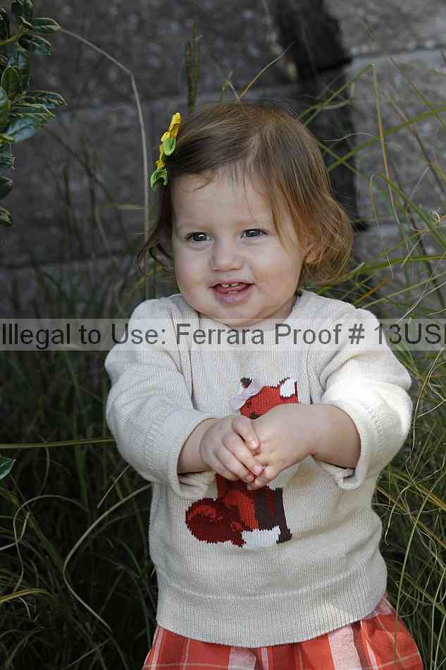 Proof 13usn_30941