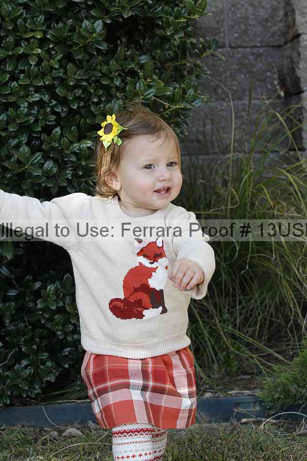 Proof 13usn_30943
