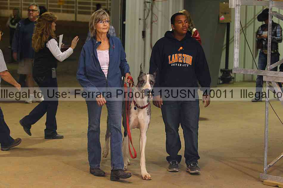 Proof 13usn_40011