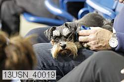 13usn_40019 proof
