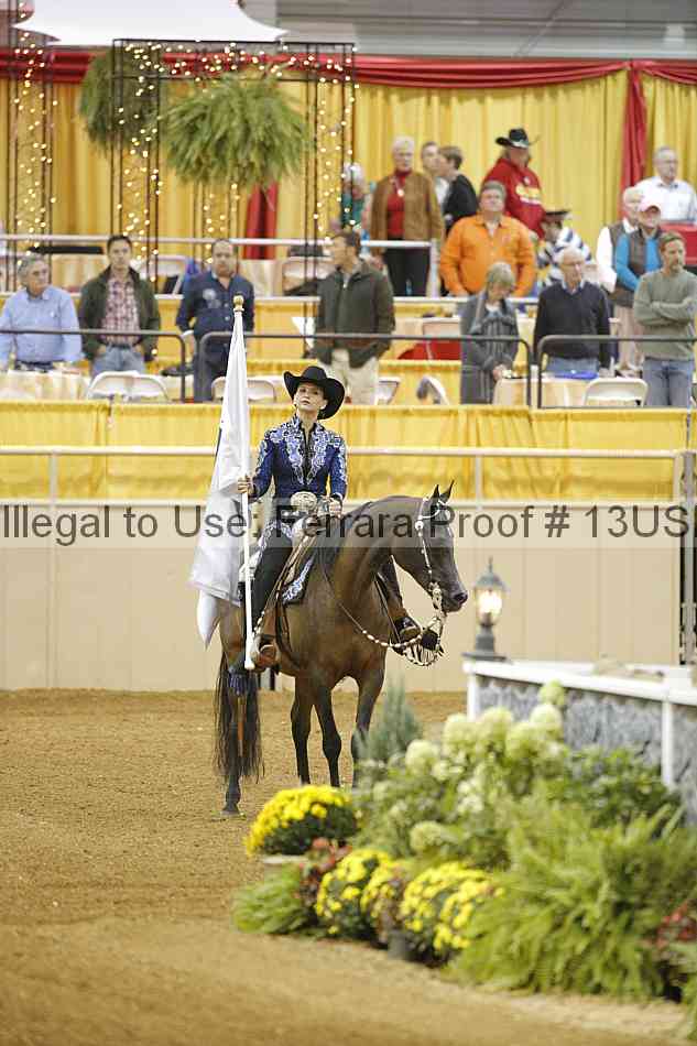 Proof 13usn_29773