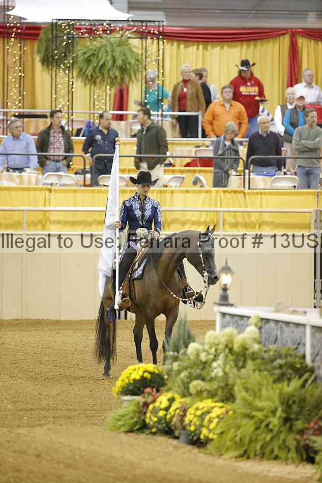 Proof 13usn_29774