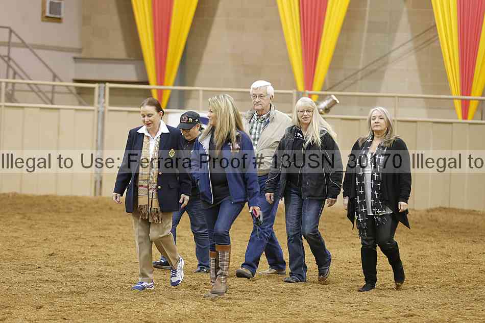 Proof 13usn_30170