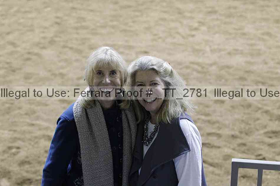 Proof _tt_2781