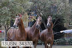 13usn_34370 proof