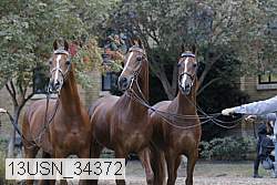 13usn_34372 proof