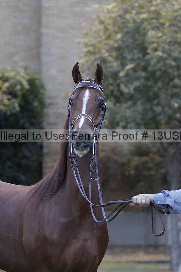 Proof 13usn_34391