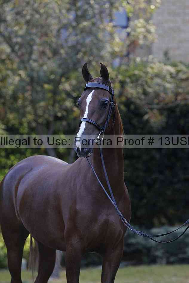 Proof 13usn_34393