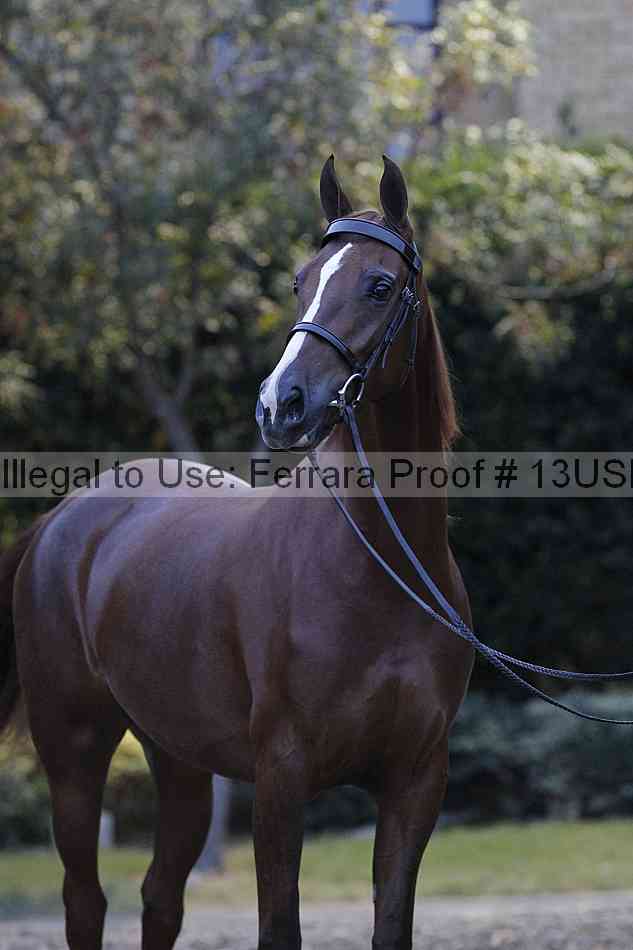 Proof 13usn_34394