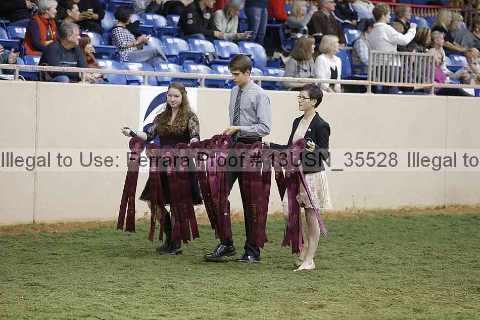 Proof 13usn_35528