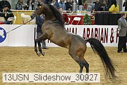 13usn_slideshow_30927 proof