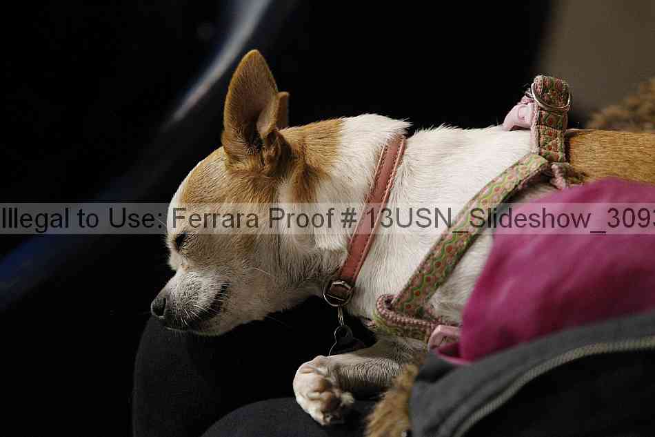 Proof 13usn_slideshow_30931