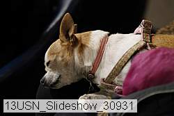 13usn_slideshow_30931 proof