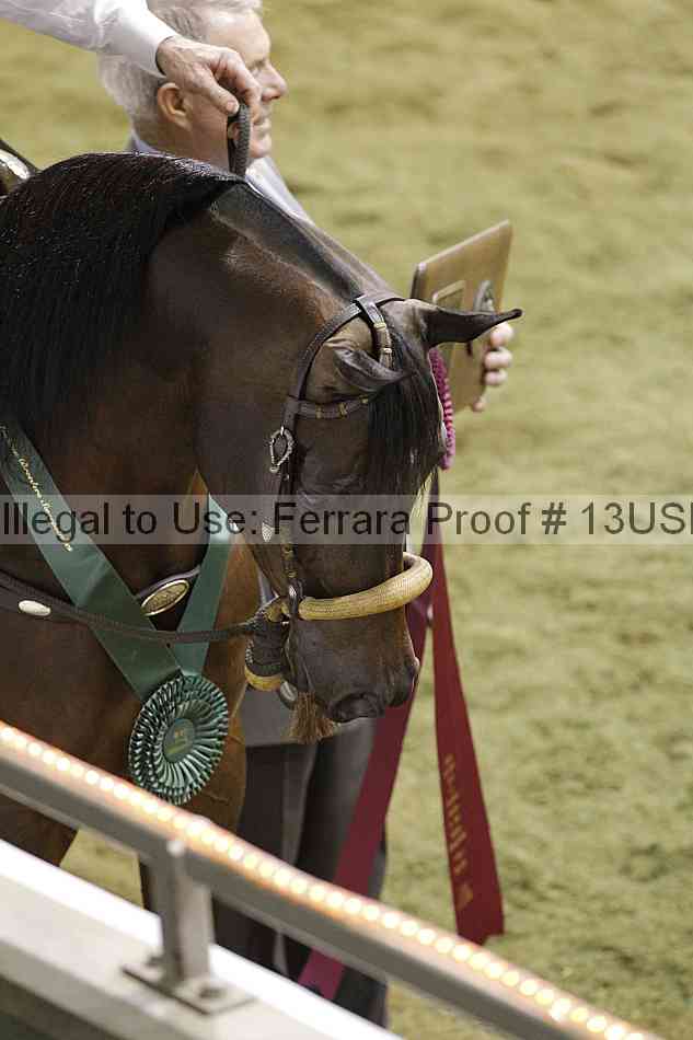 Proof 13usn_slideshow_30959