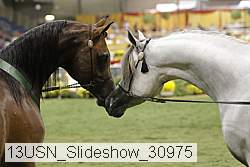 13usn_slideshow_30975 proof