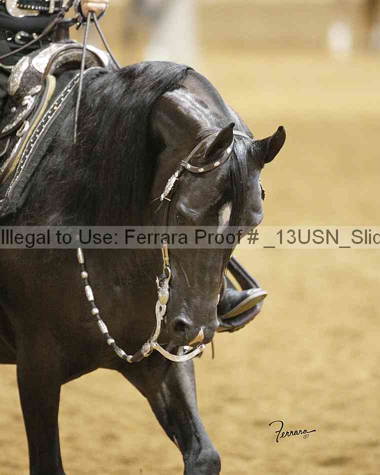 Proof _13usn_slideshow_06554