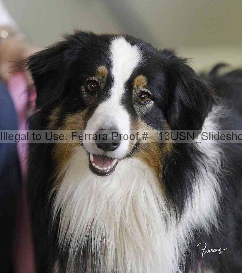 Proof _13usn_slideshow_06586