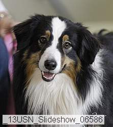 _13usn_slideshow_06586 proof