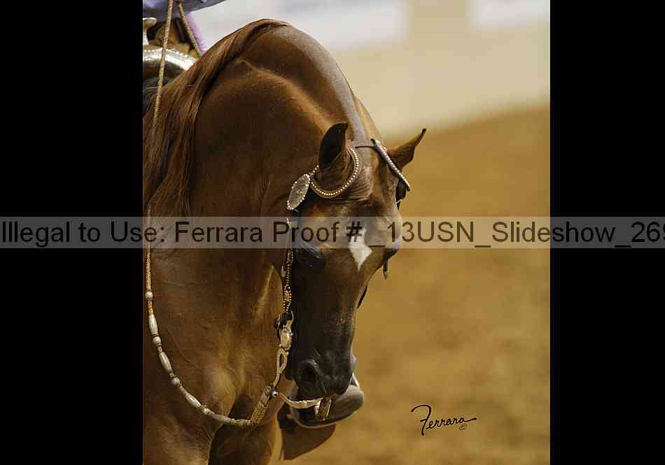 Proof _13usn_slideshow_26995