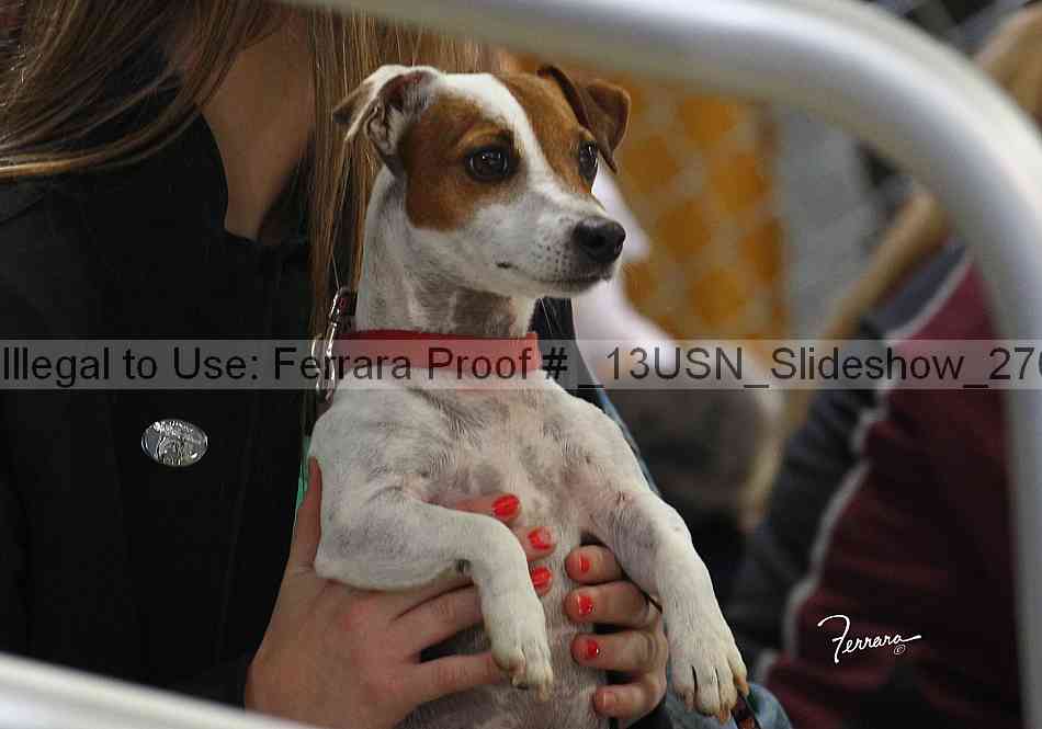 Proof _13usn_slideshow_27023